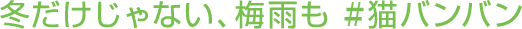 冬だけじゃない梅雨も # 猫バンバン