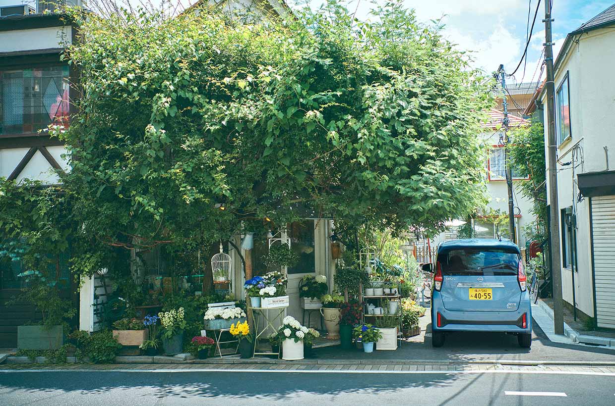 DAYZ Highway STAR ソルベブルー