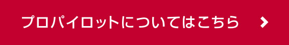 プロパイロットについてはこちら