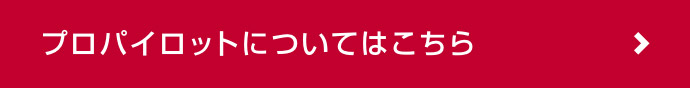 プロパイロットについてはこちら