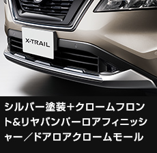 シルバー塗装＋クロームフロント&リヤバンパーロアフィニッシャー／ドアロアクロームモール
