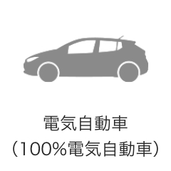 電気自動車（100%電気自動車）