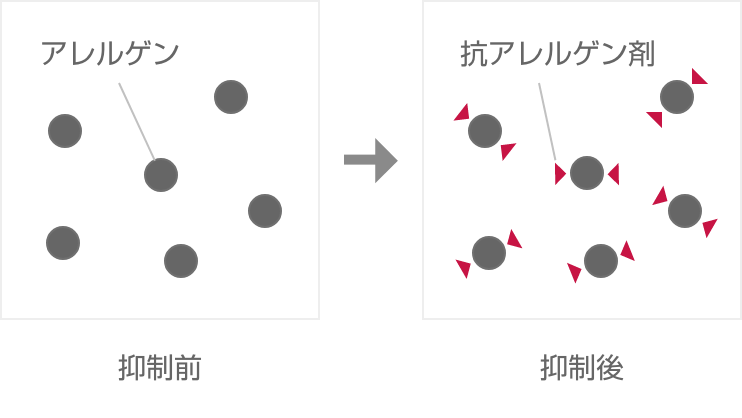 アレルゲン 抑制前 抗アレルゲン剤 抑制後