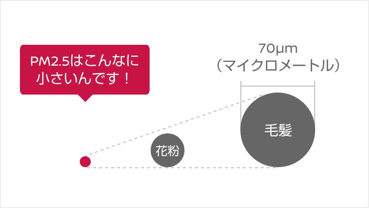 PM2.5はこんなに 小さいんです! 70μm (マイクロメートル) 花粉 毛髪