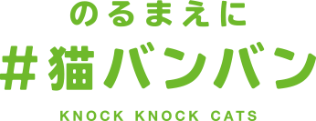 のるまえに #猫バンバン KNOCK KNOCK CATS