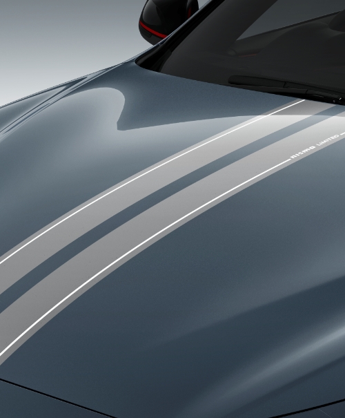 SKYLINE NISMO Limited